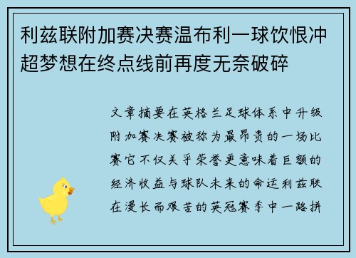 利兹联附加赛决赛温布利一球饮恨冲超梦想在终点线前再度无奈破碎